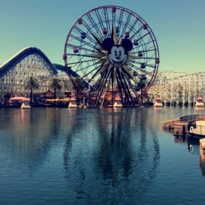 Meet your Posher, Shakima